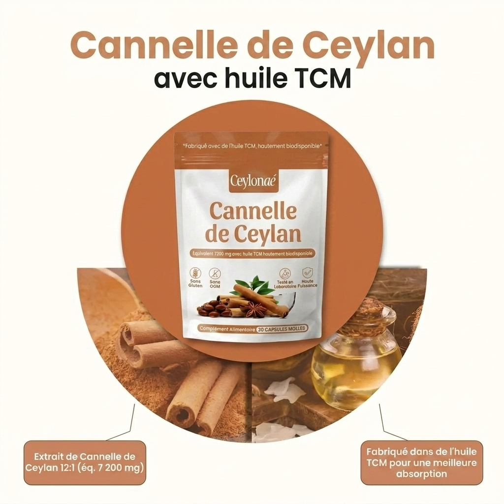 Ceylon Cinnamon 7200mg Equivalent with MCT Oil